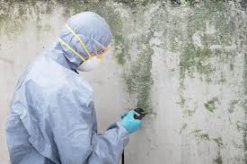 Best Residential Mold Inspection & Testing  in Santa Anna, TX